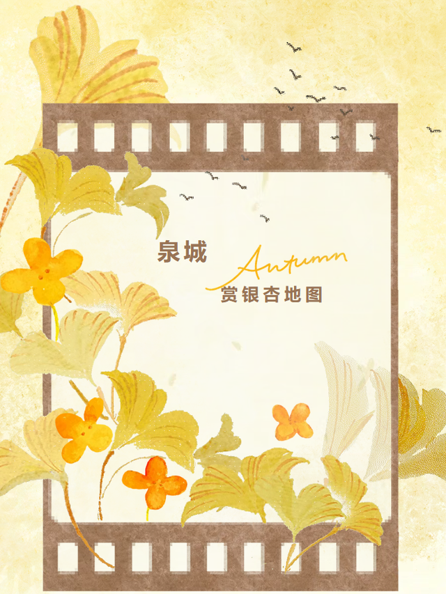 《2025济南赏银杏地图》出炉！一键收藏，赶快出发！