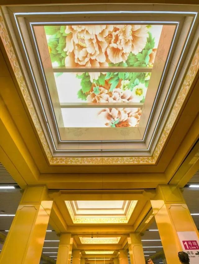 起猛了，我在洛阳被「牡丹」包围了！