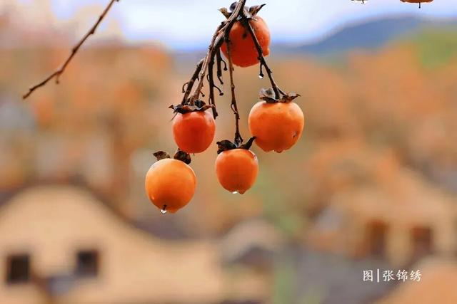 风渐凉，来福建寻一片温柔的秋