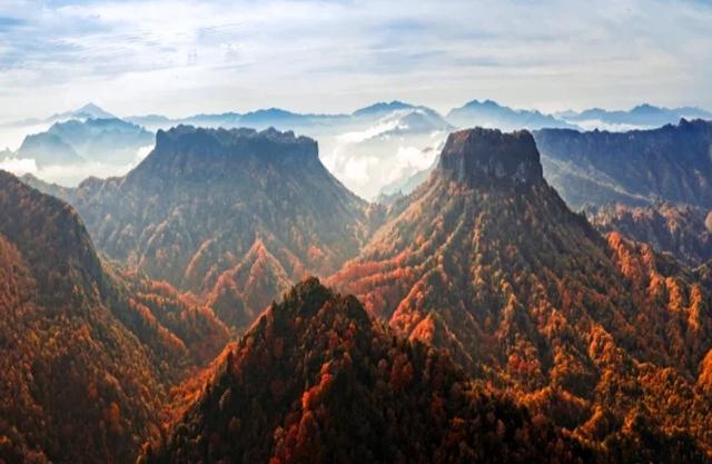 旺苍初冬红叶如画 山色斑斓引客来