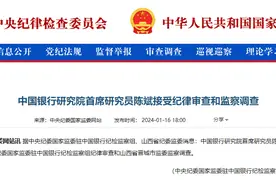 中国银行研究院首席研究员陈斌被查图片