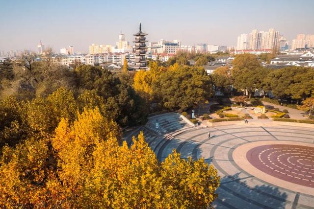 嘉定州桥老街，深秋的画卷正徐徐展开