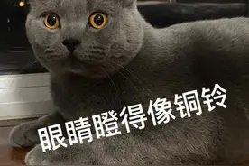 骑车回家遇狗窜出，未直接接触但我被吓得摔倒受伤，没牵绳的狗主人需要担责吗？图片