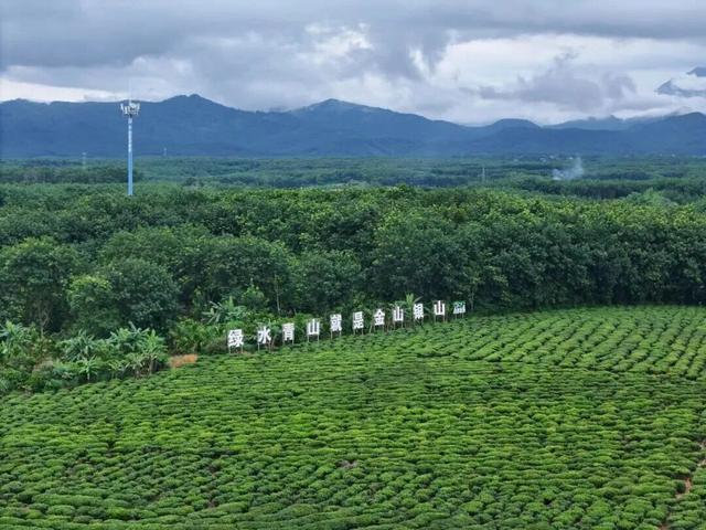 海南日报 | 白沙陨石坑生态茶园旅游区获评国家2A级旅游景区