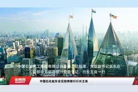 中国石化赵东会见招商银行行长王良视频封面