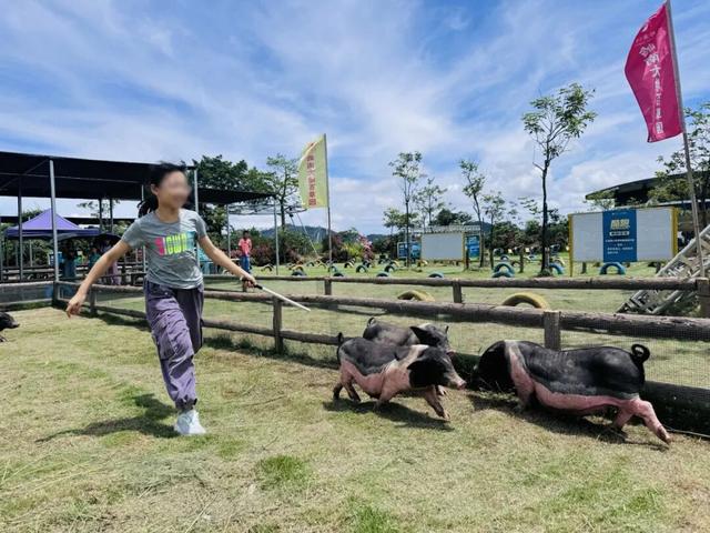 赏花撸萌宠、水果采摘、围炉煮茶……来珠海这里跨年，太精彩！