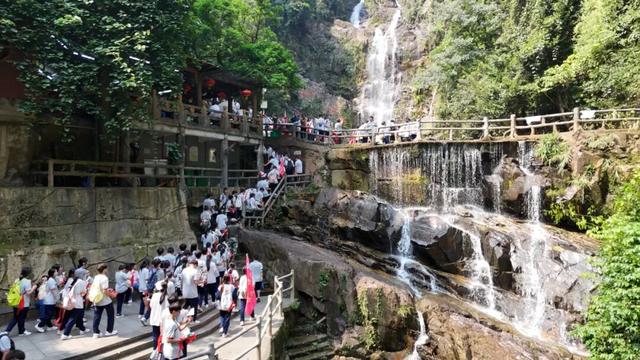 鼎湖山研学爆单了！已超3.8万人打卡