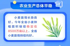 2024年河南经济“首季报”出炉：全省地区生产总值14765.34亿元 同比增长4.7%图片