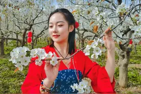 隰县：风弄梨花十里香图片