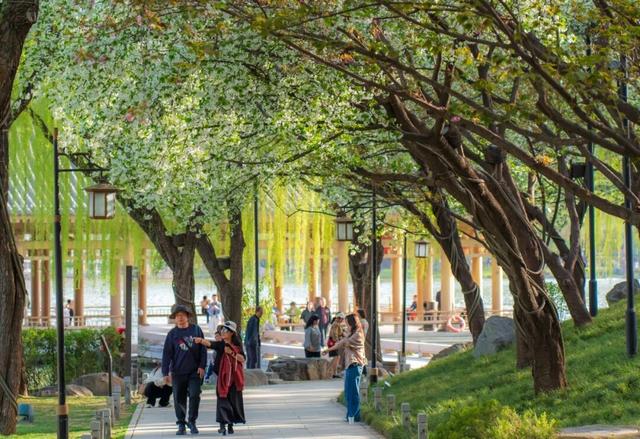 一体化 网格化 市场化机制落地运行 | 群策群力，因地制宜发展新质生产力