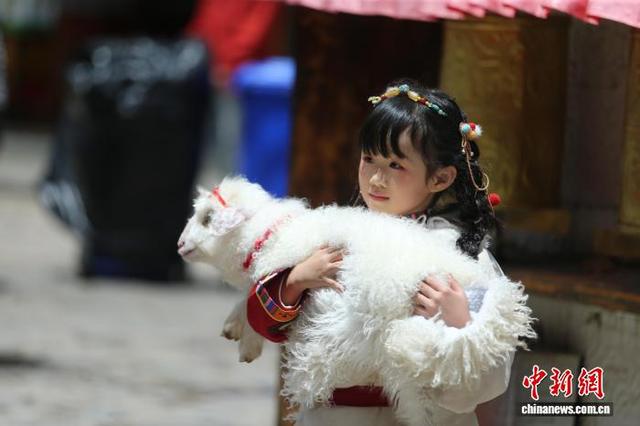 云南香格里拉暑期游人如织