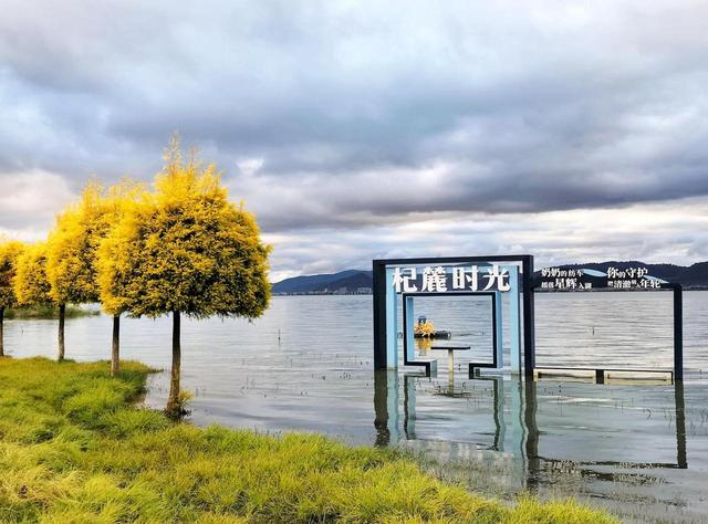 杞麓湖的初冬，藏着最温柔的治愈时光