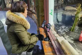不会木工当不好饲养员？听大熊猫奶爸奶妈聊丰容图片