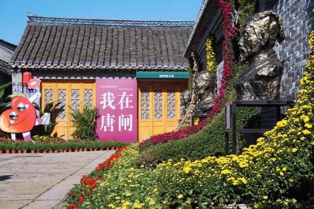 来了来了！南通秋天的仪式感