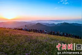 赫章县阿西里西·韭菜坪景区：10万亩野生韭菜花进入盛开期图片