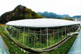 浙江黄岩：新型数字基础设施拓宽城乡发展新空间图片