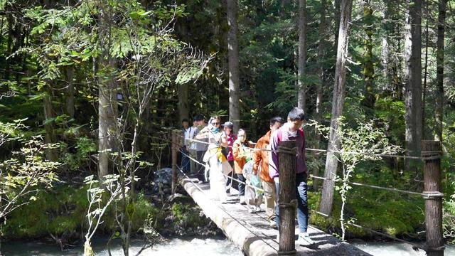 九绵高速通车助力长假游客增长 四川平武王朗生态秘境吸引八方游客