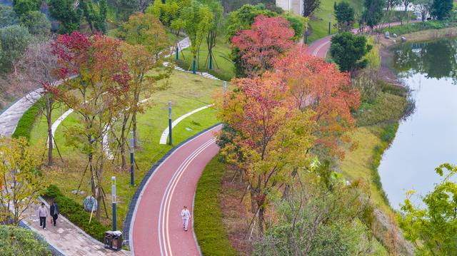 图片新闻｜两江新区：特色景点耍事多 花石公园迎开放
