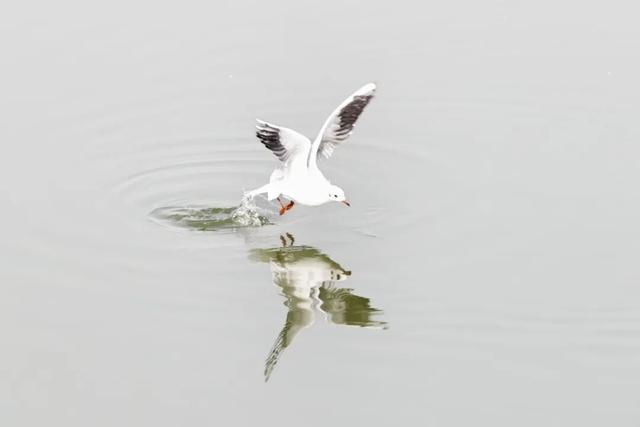 冬日喀什，一半诗意一半烟火！