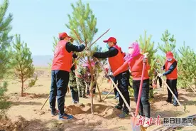 向绿而行 筑牢生态安全屏障——武威市大力推进大规模国土绿化和防沙治沙行动图片