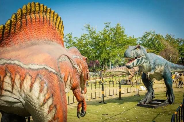 门票免费送！四会禾风稻田农场童玩节即将开启