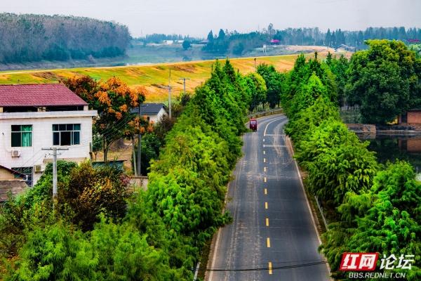 别追景点了！安乡这两个村，全是乡村最接地气的鲜活