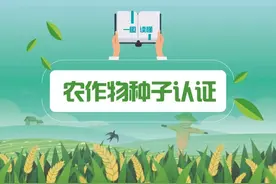 种子也有官方认证了！啥样儿的种子是好种子？一图了解图片