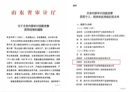枣庄职业学院教师荣获全省内部审计技能大赛二等奖图片