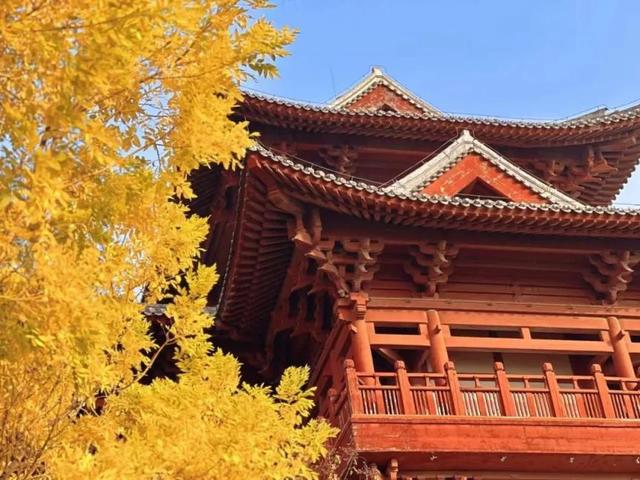 跟着浪浪山小妖怪游丰台