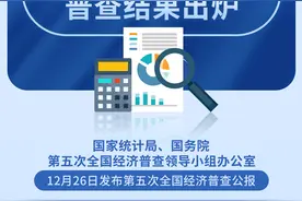 （图表）摸清家底！第五次全国经济普查结果出炉图片