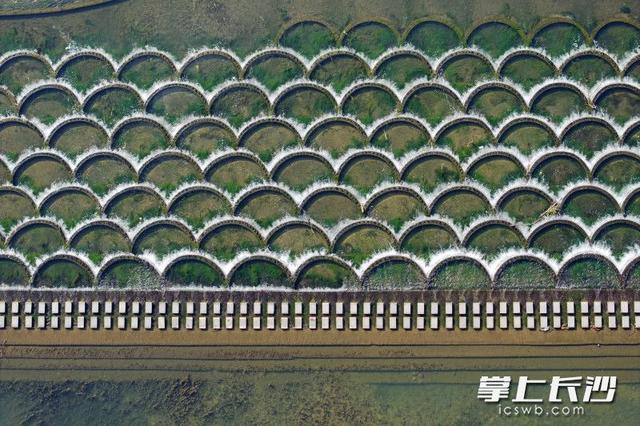 缤纷冬日 画意小河丨组图