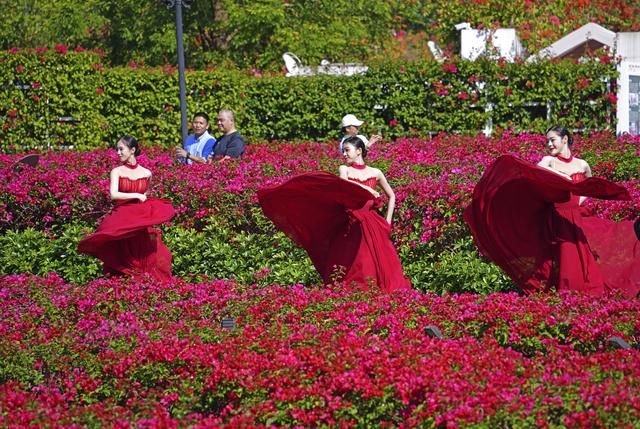 冬来赏花正当时