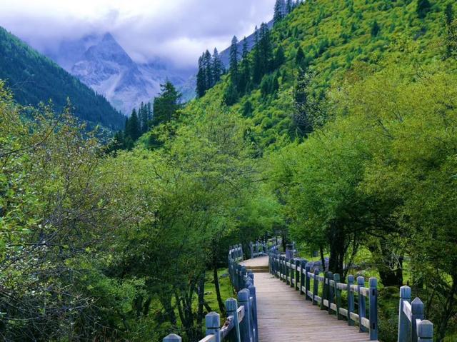 福利来袭！黑水・达古冰川景区向世运会参与者免门票开放～​