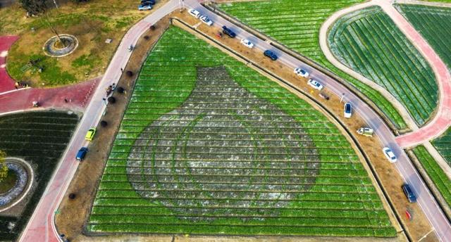 在彭州来一场“蔬式”的乡村漫游，遛娃不费妈，躺平超解压