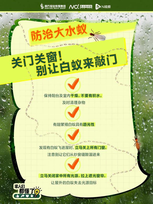 头皮发麻！不少广东人家里突现大量飞虫，紧急提醒