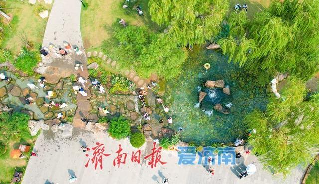 一年四季 泉在济南丨白泉涌雪消暑热 稚子踏浪戏清凉