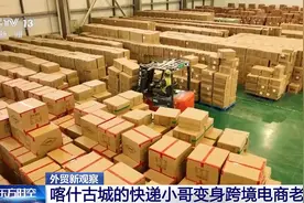 同比增长48.4%！最年轻自贸试验区交出成绩单图片