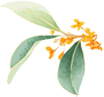 无需远行，戴震公园邀你畅玩双节！