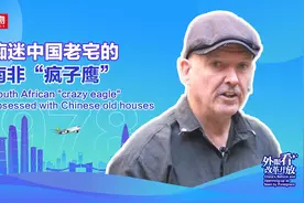 南非“疯子鹰”，扎根阳朔修古宅图片