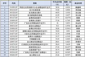 2023年公募基金年度排名揭晓，华夏拿下主动权益冠军，广发斩获QDII榜首图片