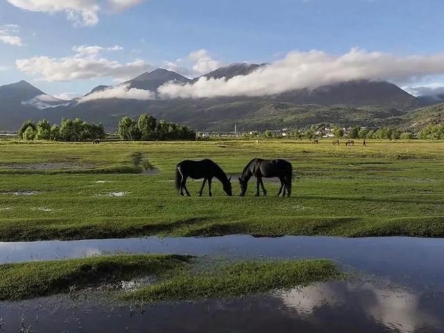 游客盛赞“20°C的丽江”：去奔赴山海 寻觅夏日清凉