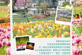 武汉市蔡甸区十大知音文旅精品项目惊艳亮相图片