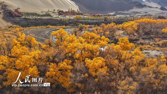 胡杨峡景区秋景如画