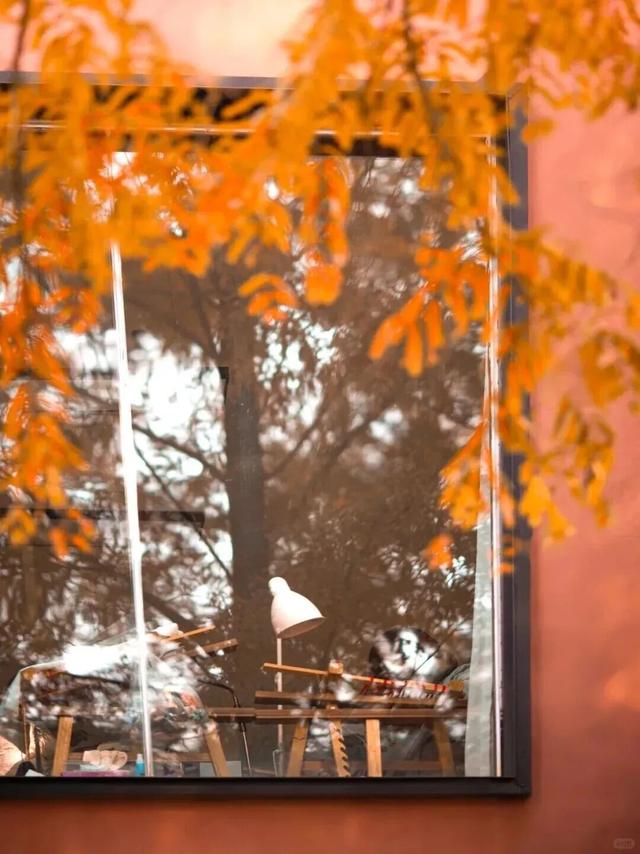 别错过，成都公园里的绝美冬景！