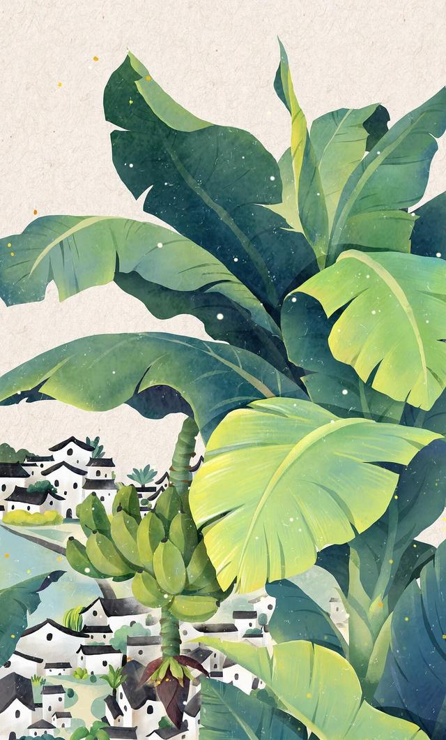 夜读丨古人对20种植物的雅称，每个都美到不行