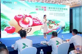 汉源甜樱桃季遇降水，怎样让“甜”更“值得”？图片