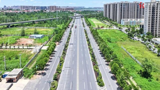 新洲：“景”上添花，勾勒生态新城