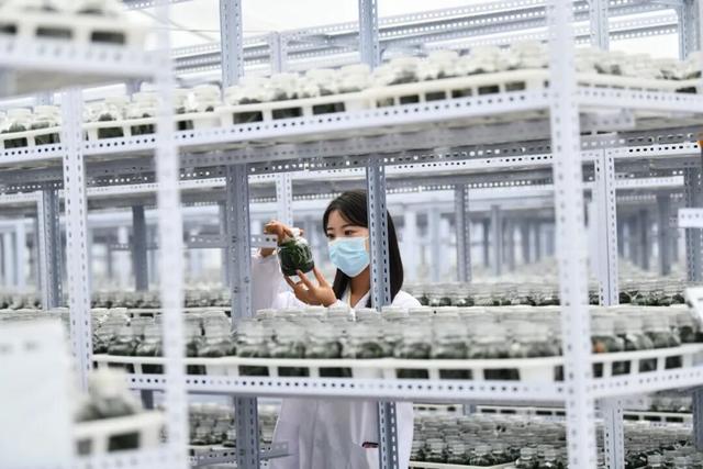 一路向西！玩遍宿城8处“乡村秘境”