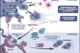 我国专家研究治疗复发难治性肝癌取得进展图片