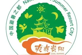 大抓招商在行动丨向“新”攀“高” 敲响“拼经济”战鼓！贵阳贵安大抓招商为民营经济注入强劲动力图片